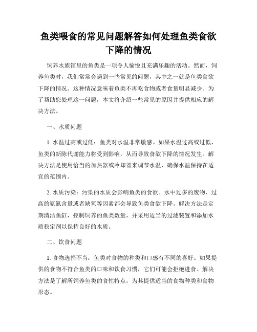 鱼类喂食的常见问题解答如何处理鱼类食欲下降的情况