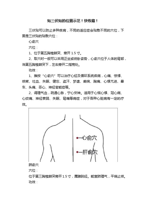 贴三伏贴的位置示范！快收藏！