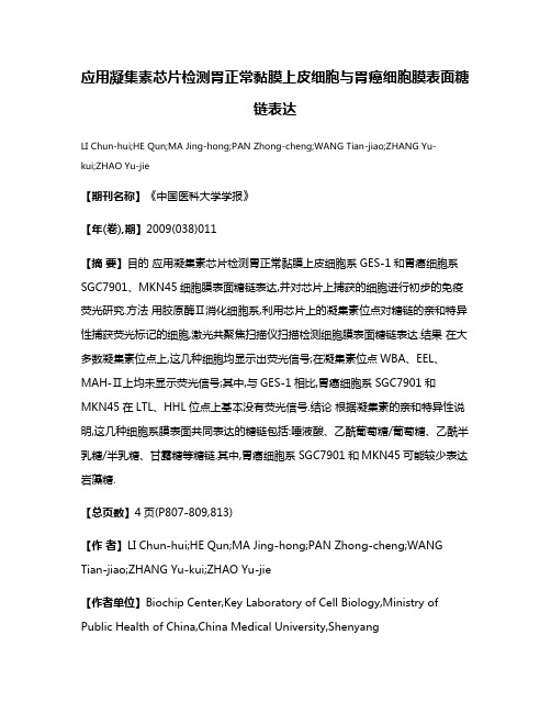 应用凝集素芯片检测胃正常黏膜上皮细胞与胃癌细胞膜表面糖链表达