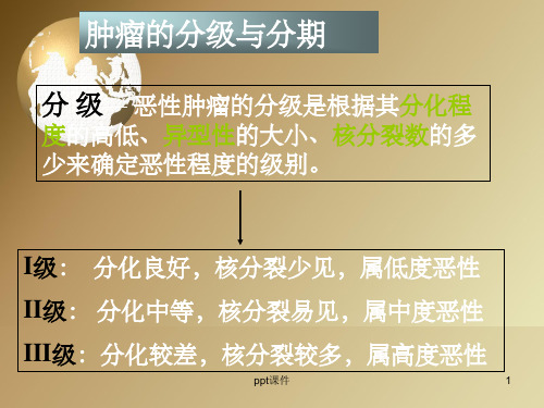 《肿瘤第二部分》PPT课件