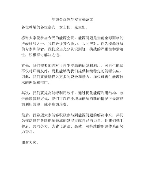 能源会议领导发言稿范文