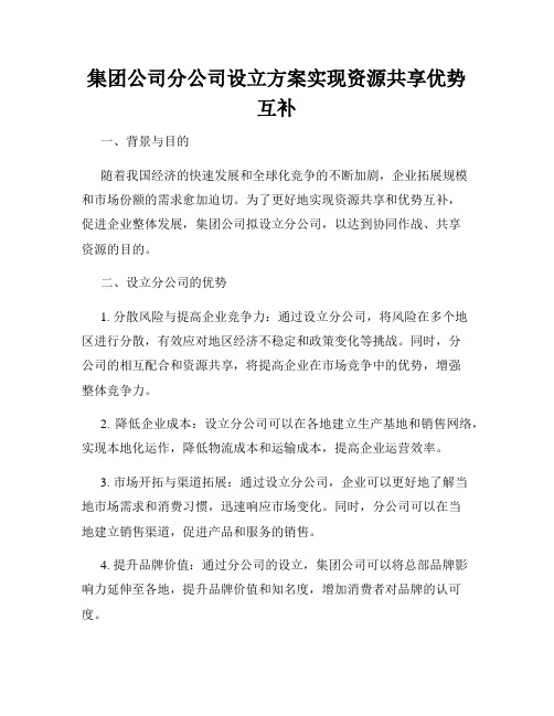 集团公司分公司设立方案实现资源共享优势互补