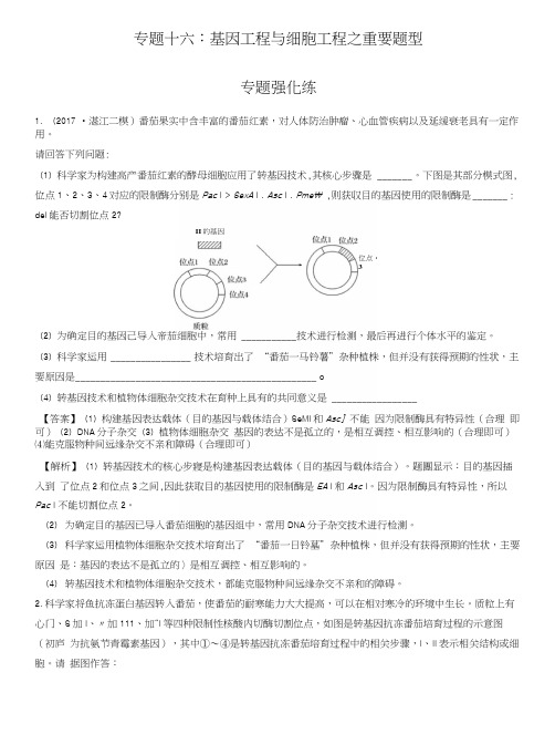 专题16基因工程与细胞工程之重要题型-提分冲刺高考生物二轮专题复习之重要题型(解析版).docx