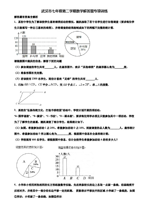 武汉市七年级第二学期数学解答题专项训练含解析