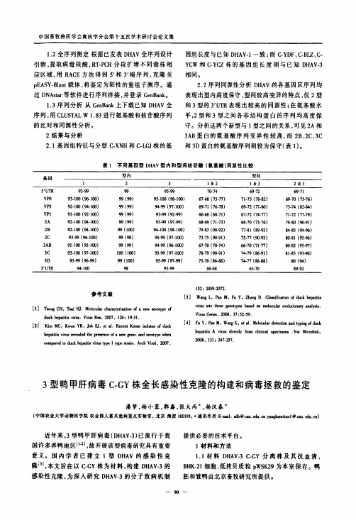 3型鸭甲肝病毒C-GY株全长感染性克隆的构建和病毒拯救的鉴定