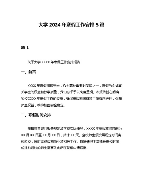 大学2024年寒假工作安排5篇