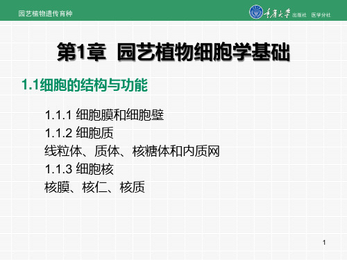 第1章园艺植物细胞学基础精品PPT课件