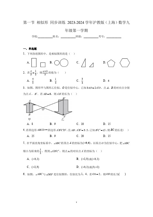 第二十四章似三角形相第一节 相似形 同步训练 2023-2024学年沪教版(上海)数学九年级第一学期