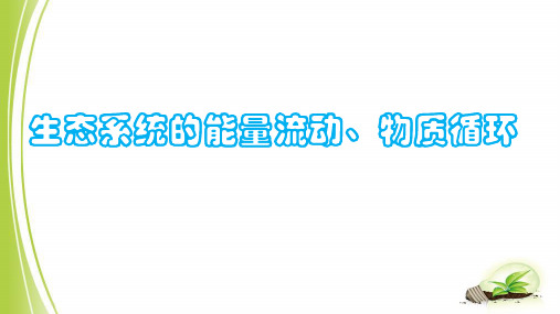 高三生物一轮复习课件：生态系统的能量流动、物质循环