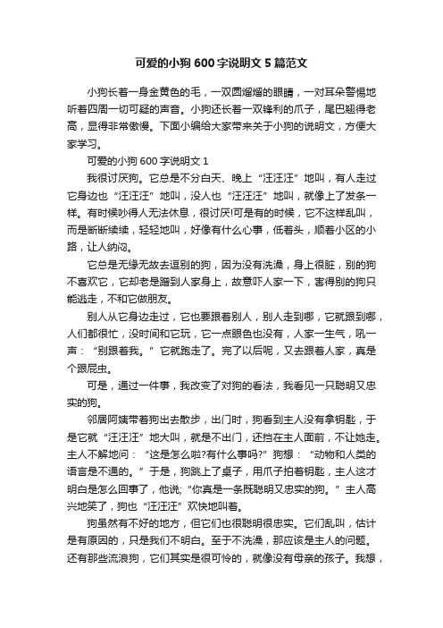 可爱的小狗600字说明文5篇范文