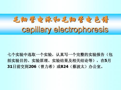 毛细管电泳和毛细管电色谱