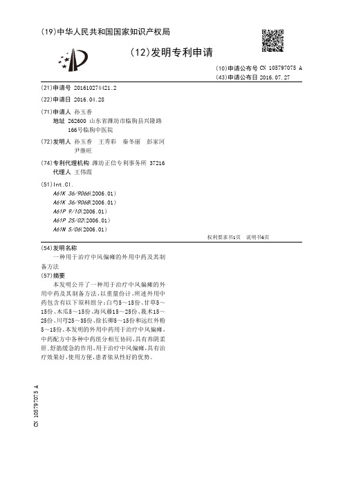 一种用于治疗中风偏瘫的外用中药及其制备方法[发明专利]