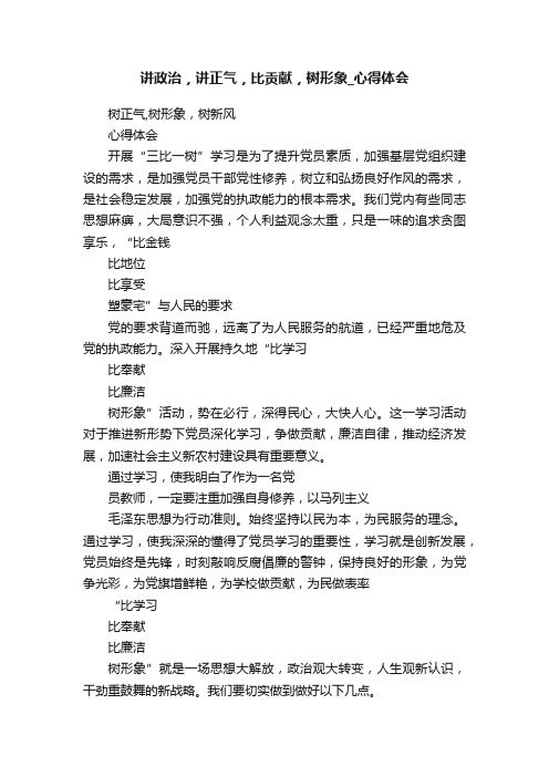 讲政治，讲正气，比贡献，树形象_心得体会