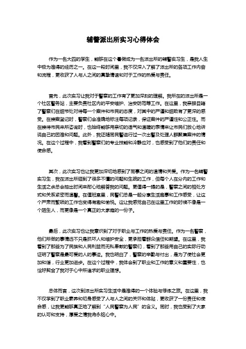 辅警派出所实习心得体会