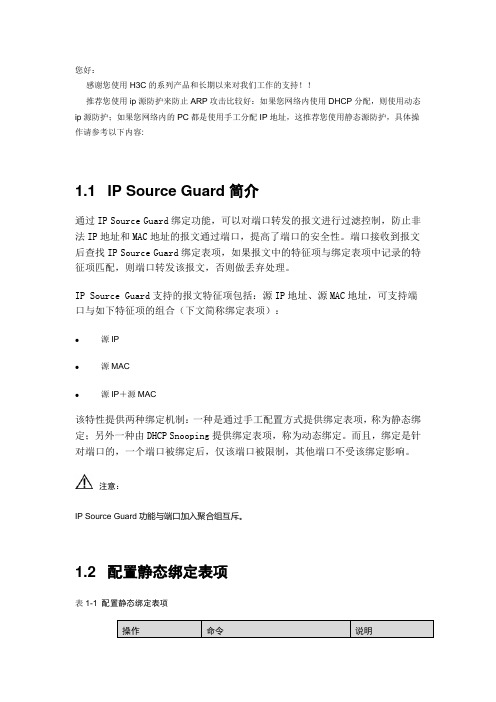 IP Source Guard简介