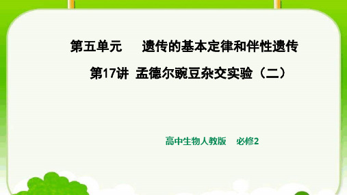 高中生物人教版    必修2孟德尔豌豆杂交实验(二) 随堂检测题