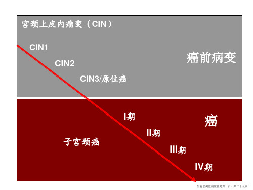 宫颈癌前病变的处理