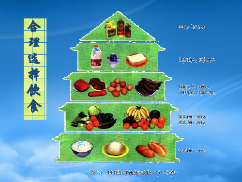 高中化学合理选择饮食课件新人教选修1.ppt