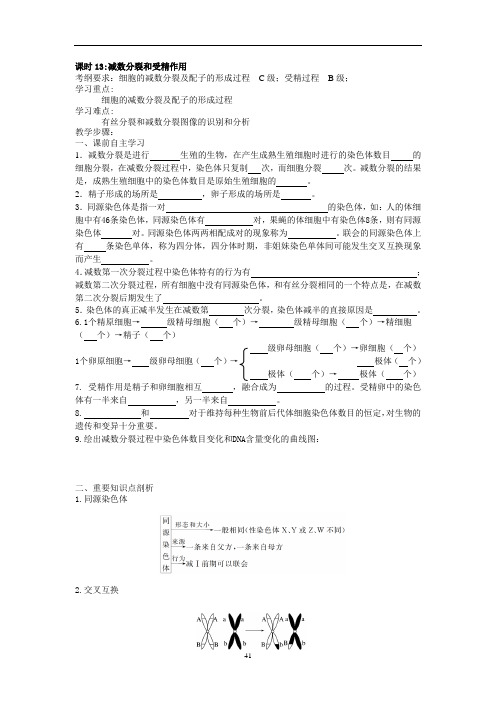 高三一轮复习生物教学案课时13：减数分裂和受精作用