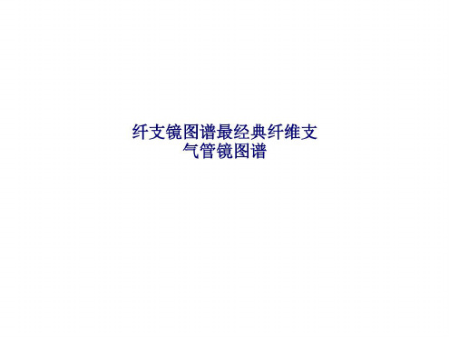 纤支镜图谱最经典纤维支气管镜图谱SS_2022年学习资料