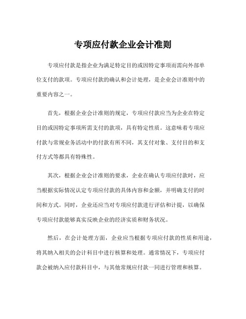 专项应付款企业会计准则