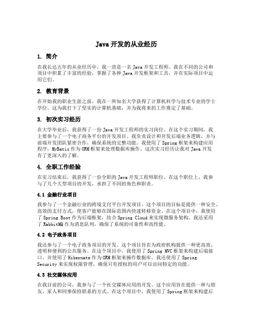 java开发的从业经历