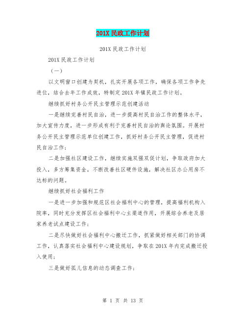 201X民政工作计划
