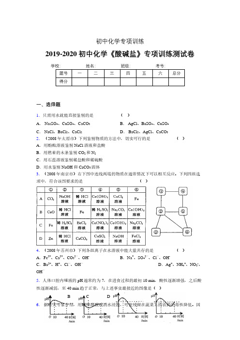 2019-2020学年初中化学《酸碱盐》专项训练模拟测试(含答案) (324)