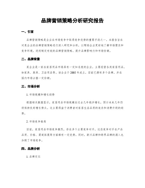 品牌营销策略分析研究报告