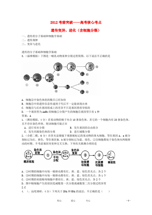 2012届高考生物考前核心突破 23遗传变异进化(含分裂)