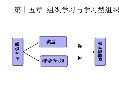 【精品】15-17组织行为学