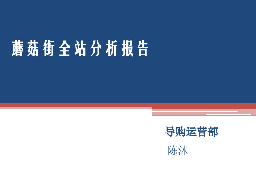 蘑菇街全站分析报告