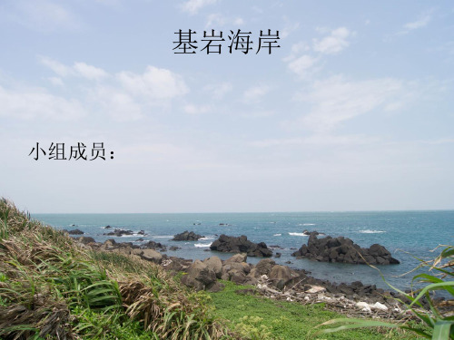 基岩海岸---最终版