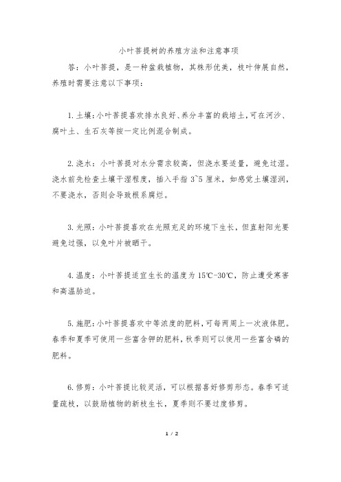 小叶菩提树的养殖方法和注意事项