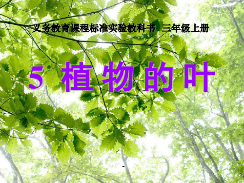 教科版科学三上《植物的叶》PPT课件_(1)