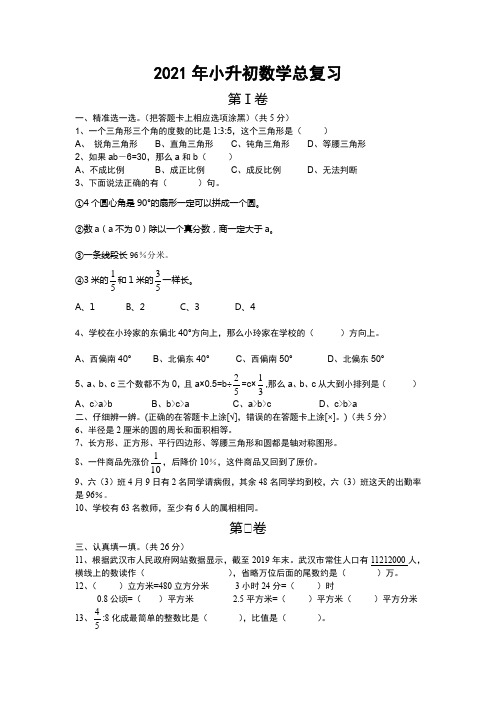 2021年小升初数学总复习(可编辑) (24)