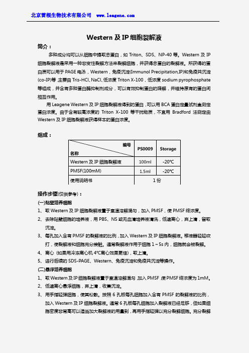 Western及IP细胞裂解液