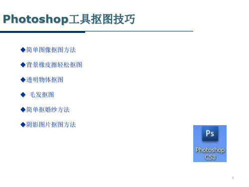 PS抠图技巧--6种方法PPT学习课件