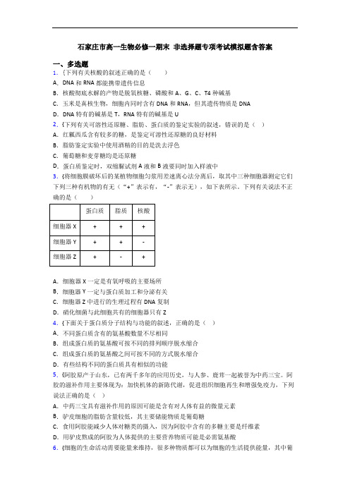 石家庄市高一生物必修一期末 非选择题专项考试模拟题含答案