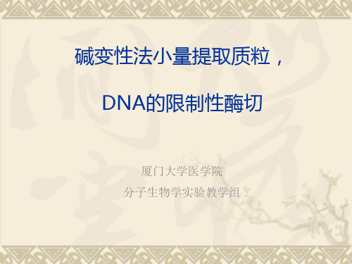 质粒dna的提取和鉴定