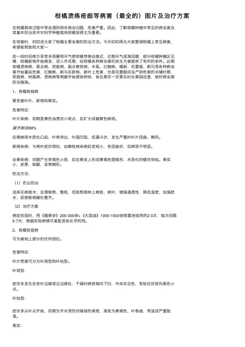 柑橘溃疡疮痂等病害（最全的）图片及治疗方案