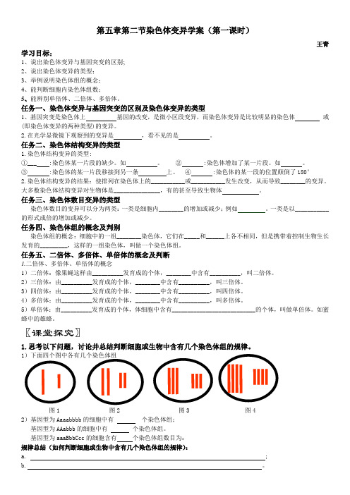 导学案染色体变异