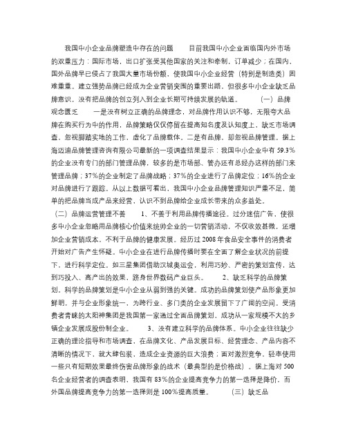 我国中小企业品牌塑造中存在的问题分析讲解