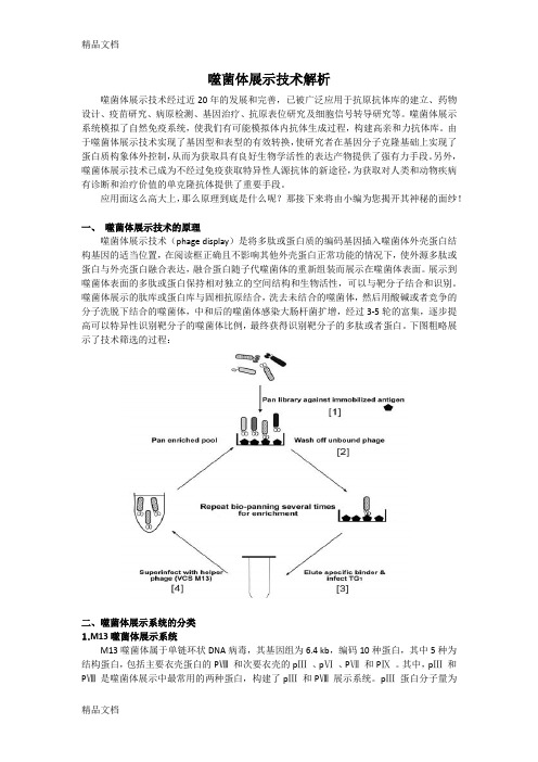 最新噬菌体展示技术解析