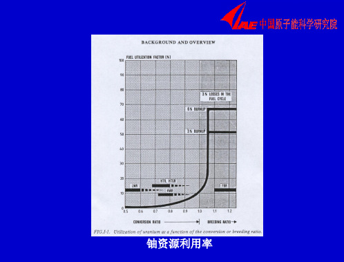 101113_徐銤_我国快堆技术和核能的可持续发展