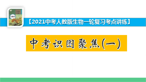 中考生物识图集训(一)【2021中考人教版生物一轮复习考点讲练】