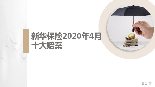 新华保险2020年4月十大赔案12页