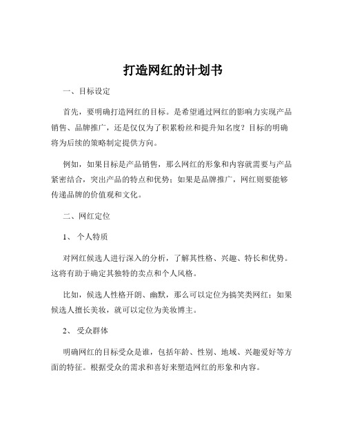 打造网红的计划书