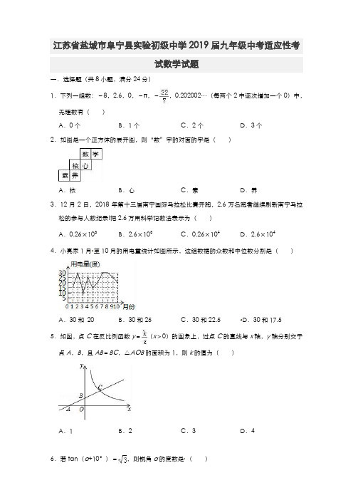 江苏省盐城市阜宁县实验初级中学2019届九年级中考适应性考试数学试题(一)(含解析)