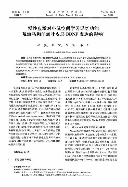 慢性应激对小鼠空间学习记忆功能及海马和前额叶皮层BDNF表达的影响